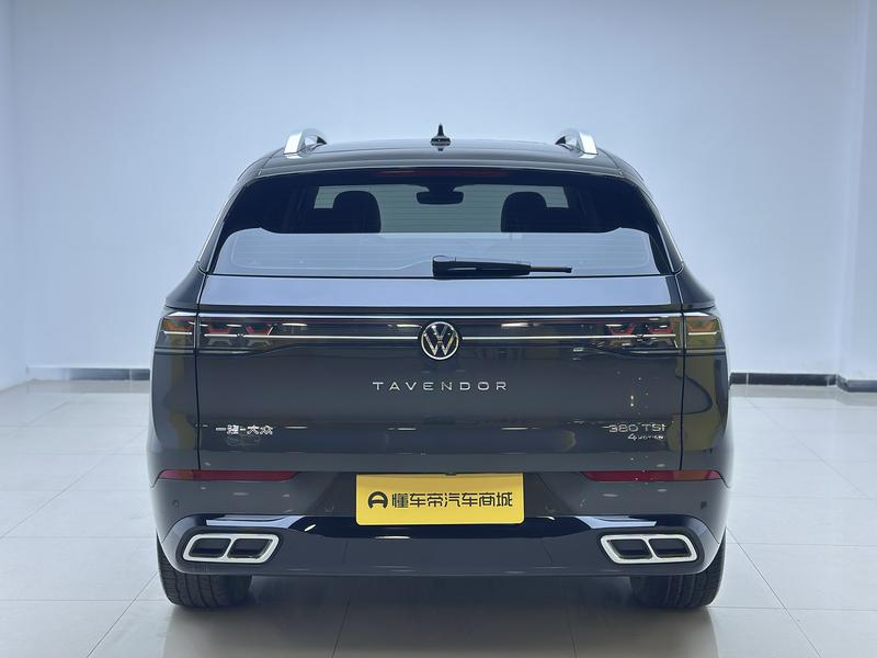 Volkswagen Tavendor, 2023 — фото 6 из 12