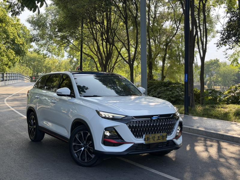 Changan Oshan X7 Plus, 2023 — фото 3 из 12