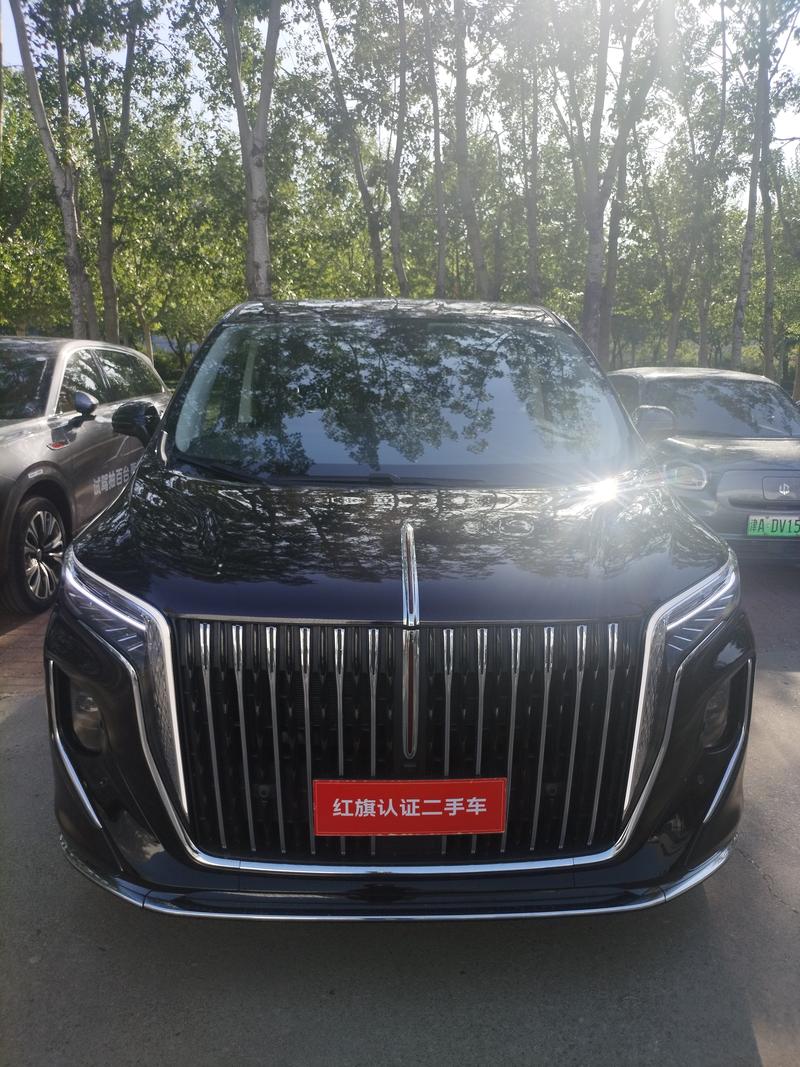 Hongqi HQ9 Hybrid, 2024 — фото 2 из 10