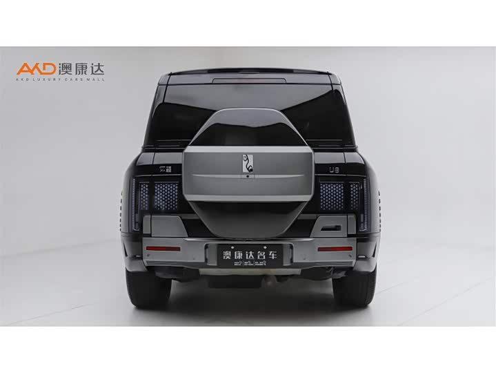 BYD Yangwang U8, 2024 — фото 4 из 9