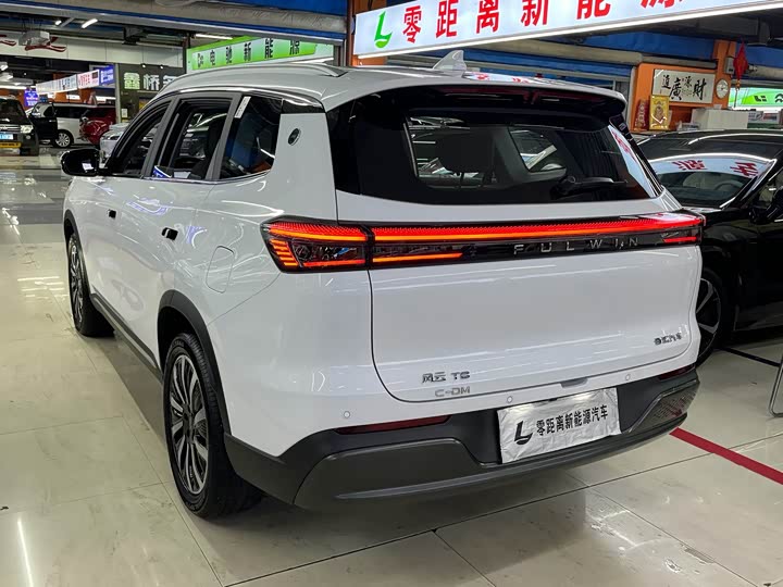 Chery Fulwin T8, 2025 — фото 4 из 9