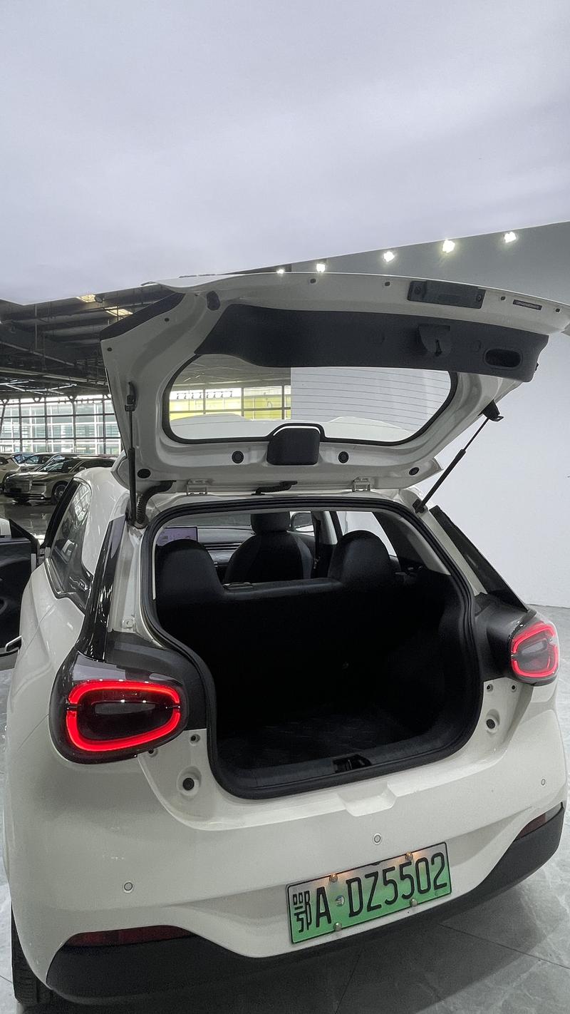 Dongfeng Yipai Nano 01, 2024 — фото 4 из 6