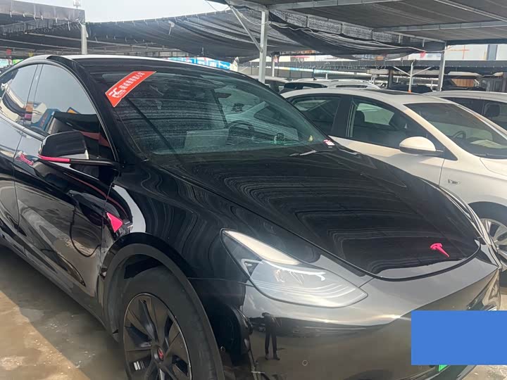 Tesla Model Y, 2023 — фото 2 из 9