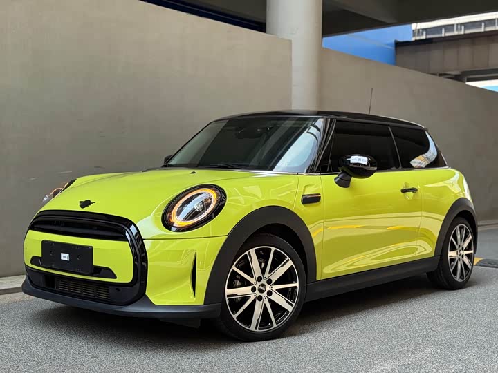 Mini Mini, 2022 — купить в Санкт-Петербурге под ключ