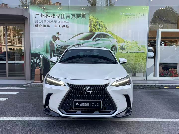 Lexus NX Hybrid, 2021 — фото 2 из 9