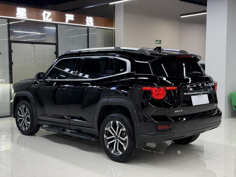 Haval H-Dog, 2023 — фото 4 из 12