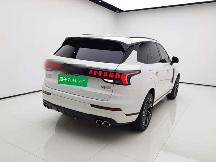 Lynk & Co 09 EM-P Hybrid, 2022 — фото 6 из 9
