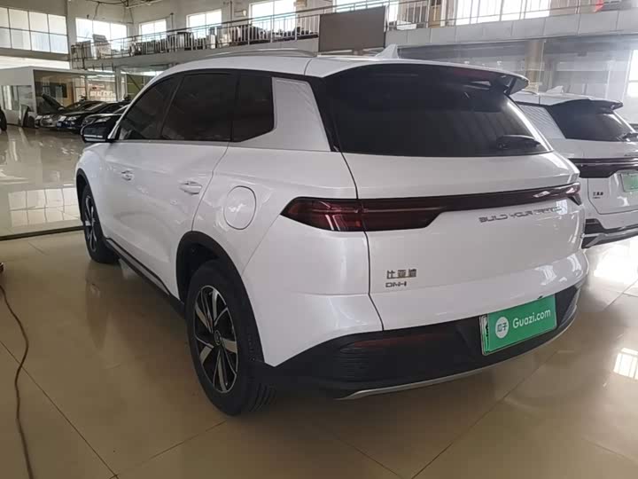 BYD Song Pro Hybrid, 2024 — фото 5 из 9