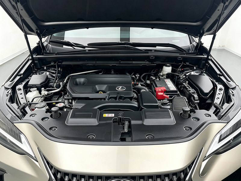 Lexus NX, 2021 — фото 12 из 12