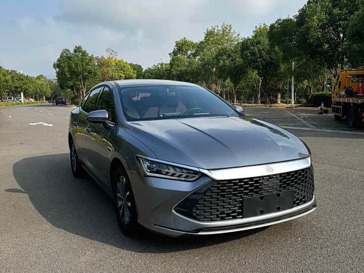 BYD Qin Plus, 2024 — фото 7 из 9