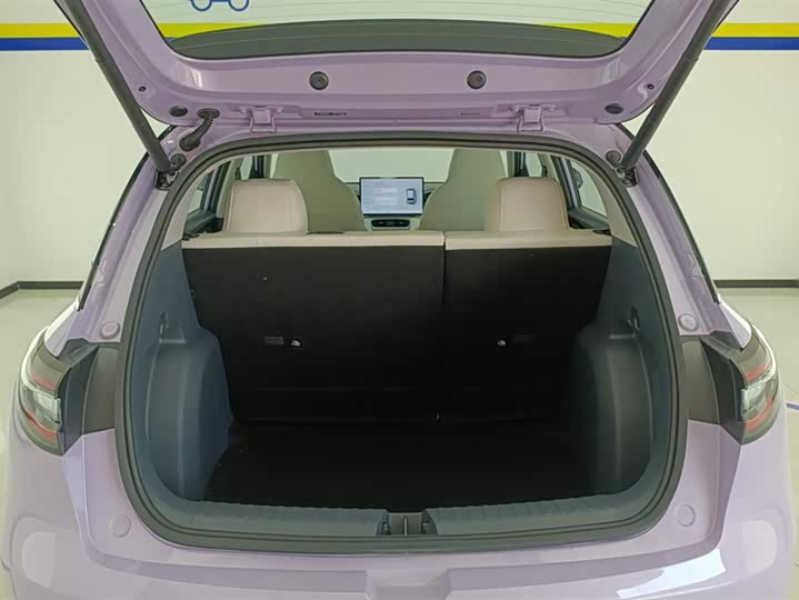 Geely Galaxy Geome, 2025 — фото 4 из 9