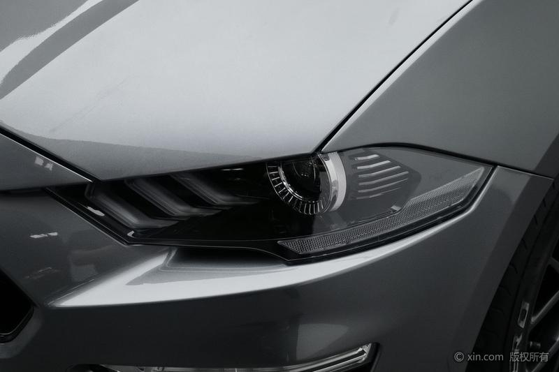 Ford Mustang, 2023 — фото 4 из 12