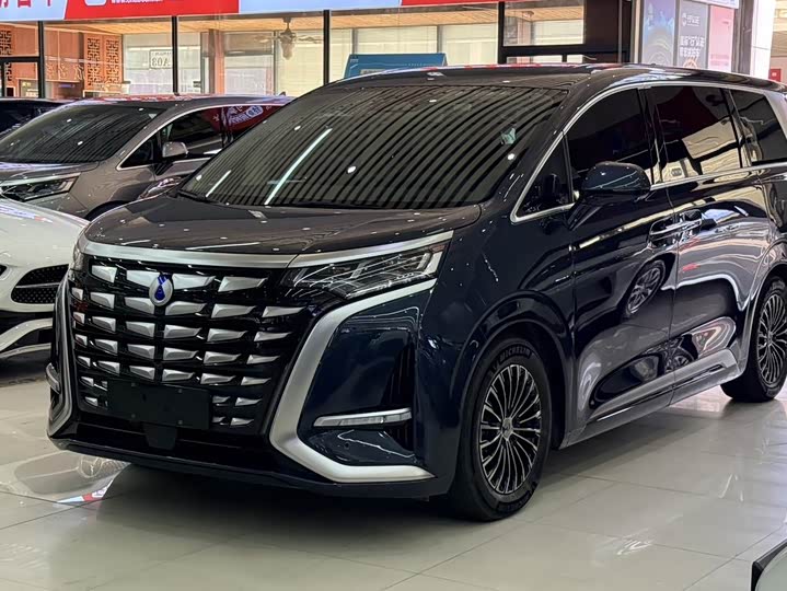 Denza D9, 2024 — купить в Казани под ключ