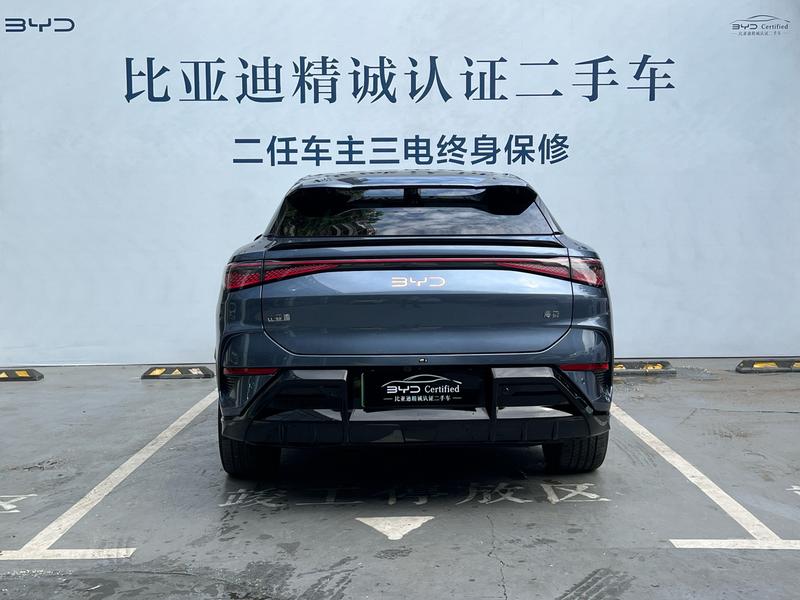 BYD Sea Lion 07 EV, 2024 — фото 4 из 12