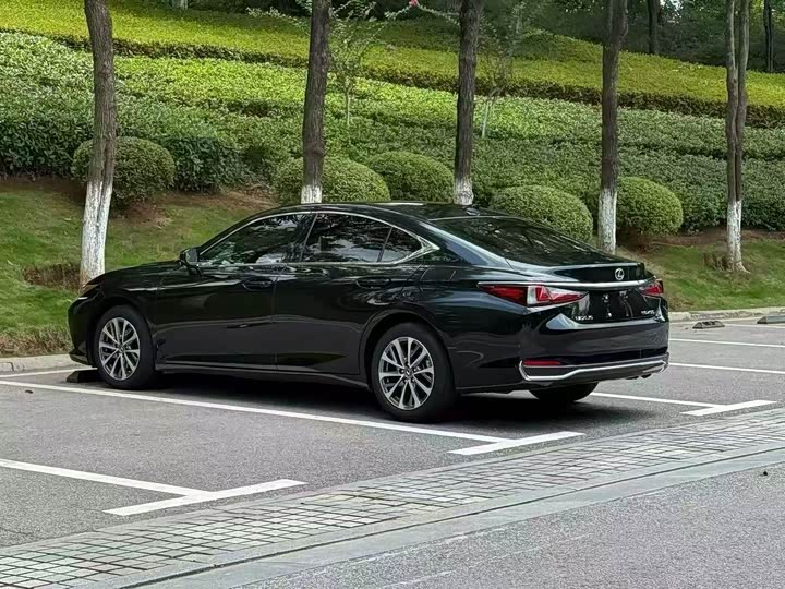 Lexus ES, 2024 — фото 7 из 9