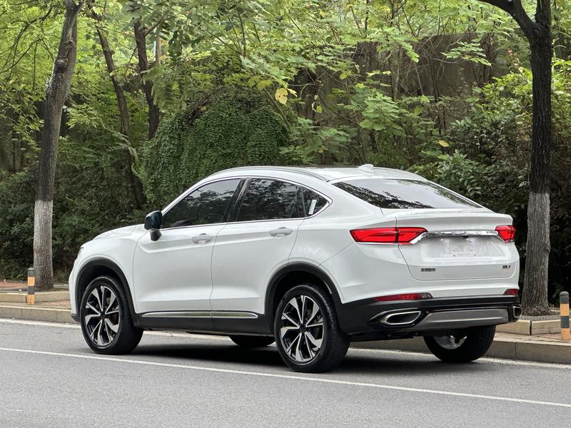Geely Tugella S, 2022 — фото 5 из 12