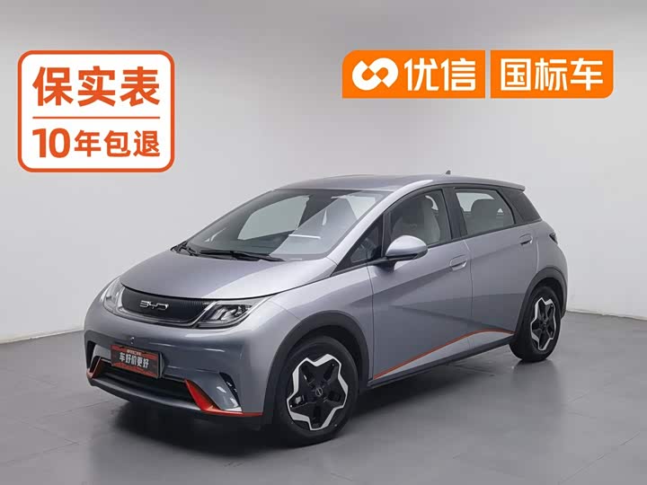 BYD Dolphin, 2022 — купить в Перми под ключ
