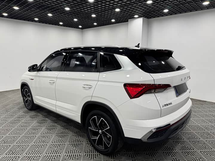 Skoda Kamiq, 2021 — фото 9 из 9