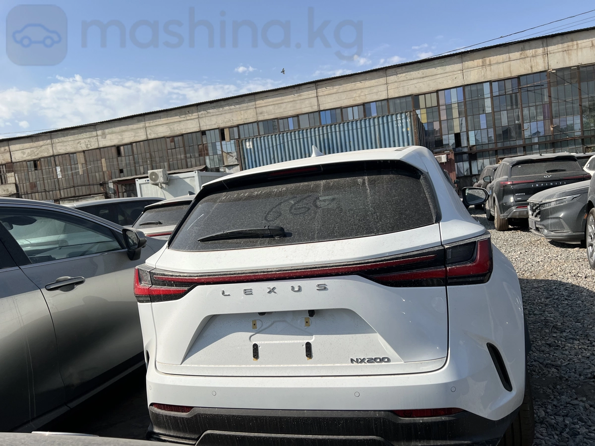 Lexus NX, 2025 — фото 4 из 7