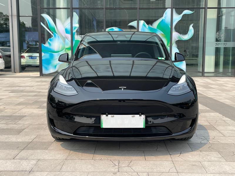 Tesla Model Y, 2021 — фото 2 из 12