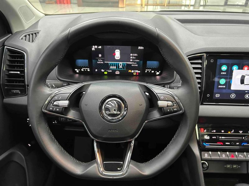Skoda Karoq, 2023 — фото 12 из 12