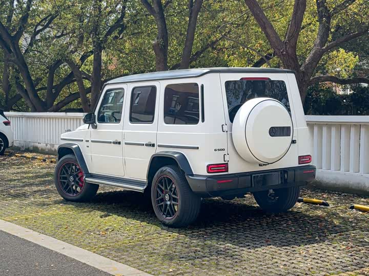 Mercedes-Benz G-Class, 2022 — фото 8 из 9