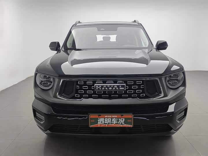 Haval H-Dog, 2025 — фото 3 из 9