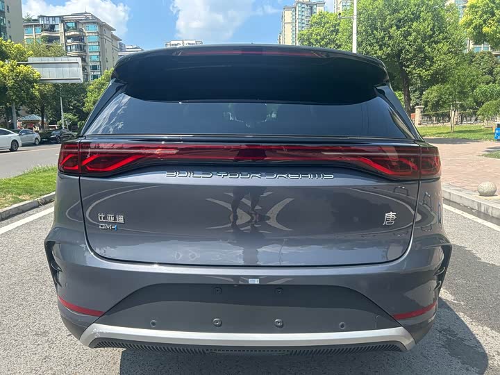 BYD Tang Hybrid/EV, 2024 — фото 6 из 9