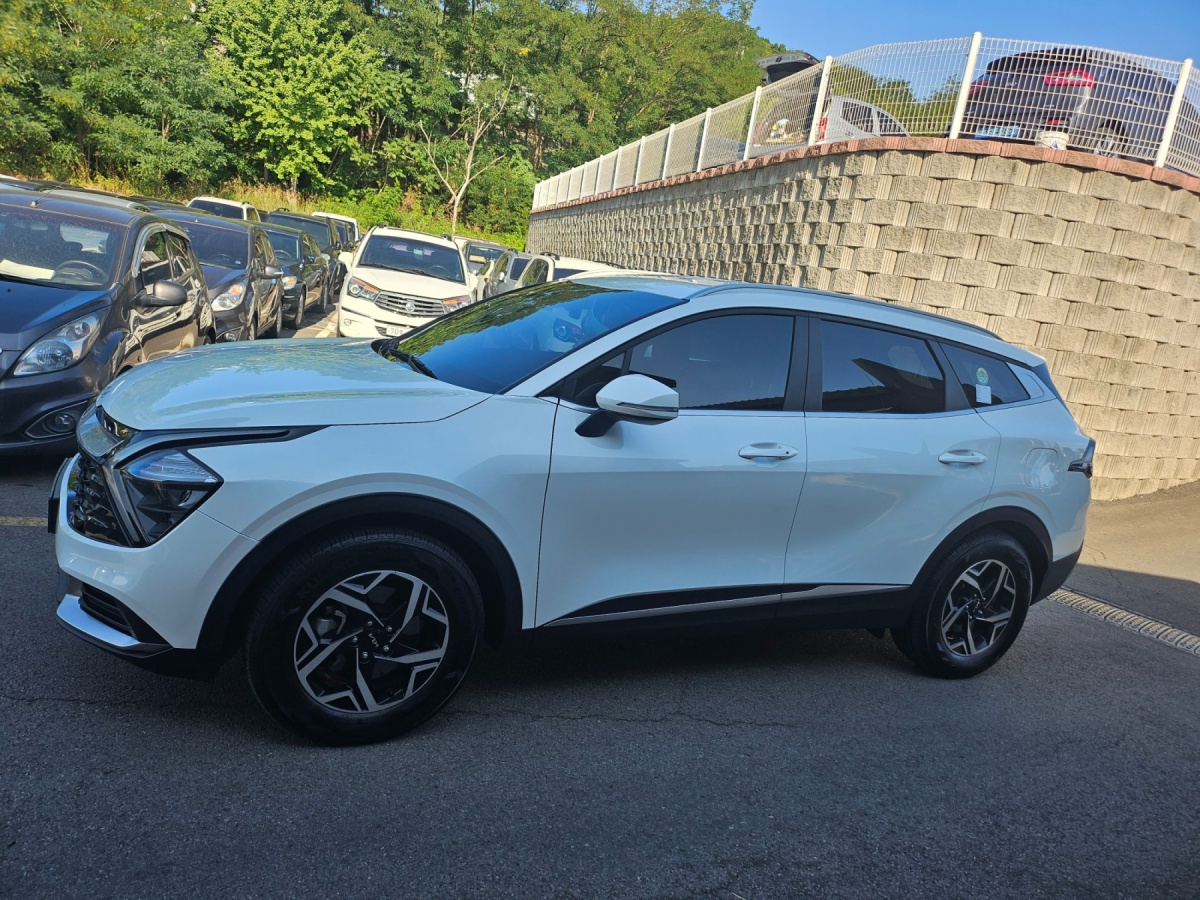 Kia Sportage, 2023 — фото 3 из 12