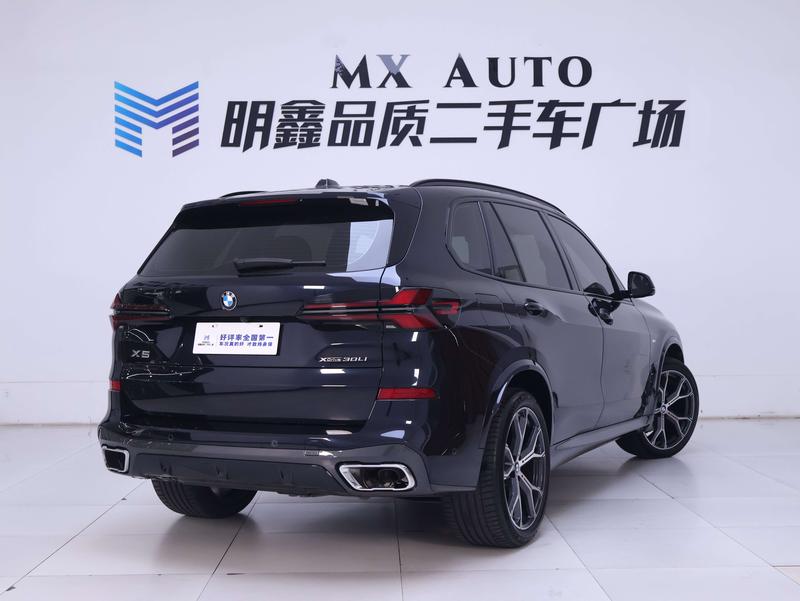 BMW X5, 2025 — фото 4 из 12