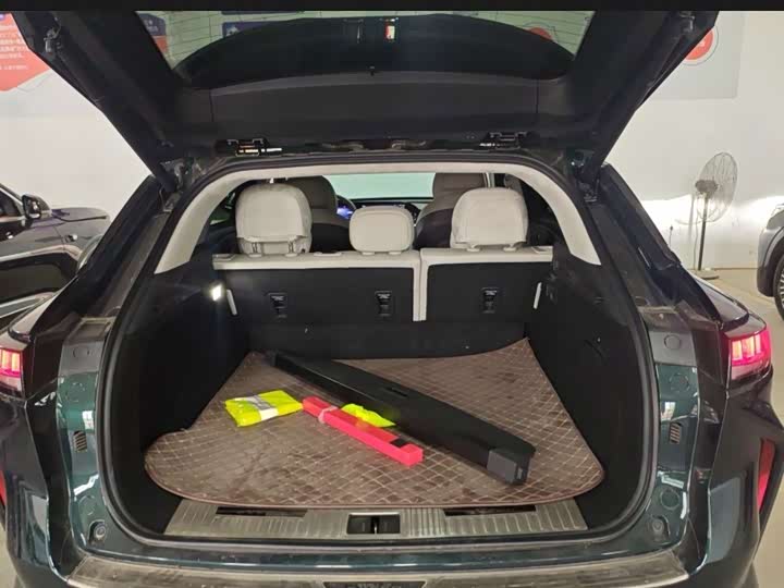 Exeed RX C-DM Hybrid, 2024 — фото 8 из 9