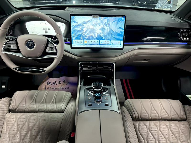 BYD Tang Hybrid/EV, 2024 — фото 7 из 10