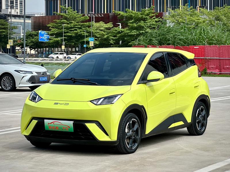 BYD Seagull, 2023 — купить в Туле под ключ