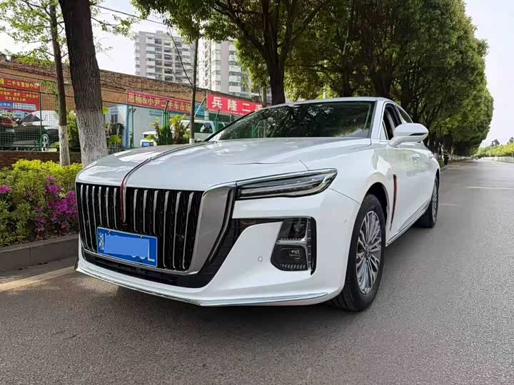 Hongqi H5, 2024 — купить в Уфе под ключ