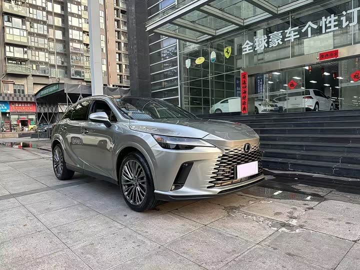 Lexus RX, 2023 — фото 3 из 9