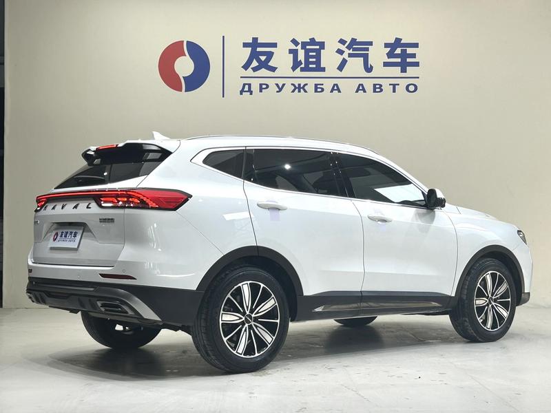 Haval H6, 2023 — фото 6 из 9