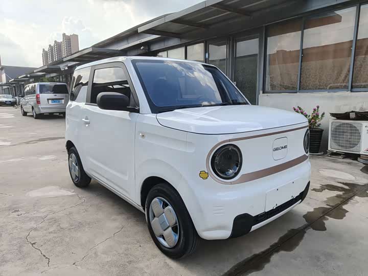 Geely Galaxy Panda Mini, 2023 — фото 3 из 9