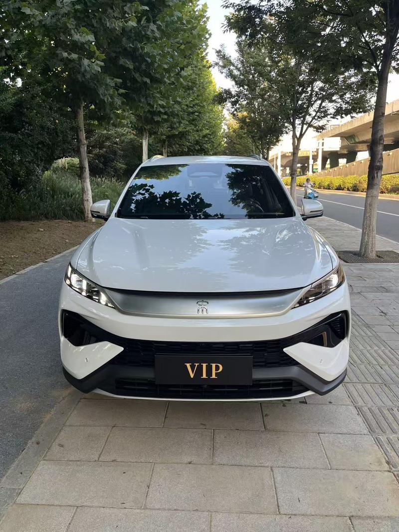 BYD Song Pro Hybrid, 2024 — фото 2 из 10