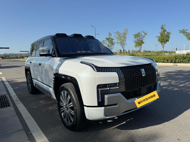 BYD Yangwang U8, 2024 — фото 3 из 9