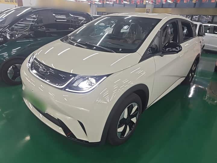 BYD Dolphin, 2026 — купить в Калуге под ключ