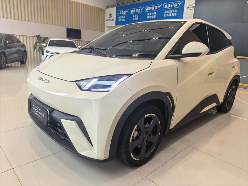 BYD Seagull, 2023 — купить в Туле под ключ