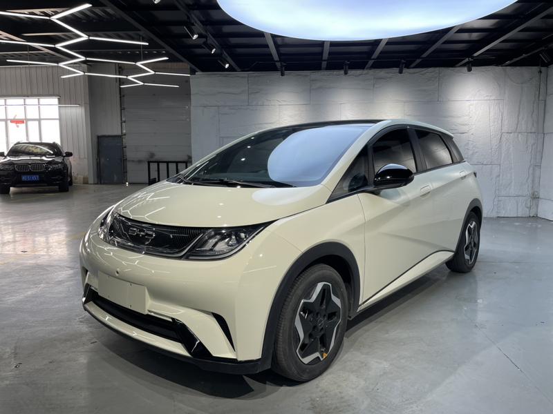 BYD Dolphin, 2022 — купить в Санкт-Петербурге под ключ