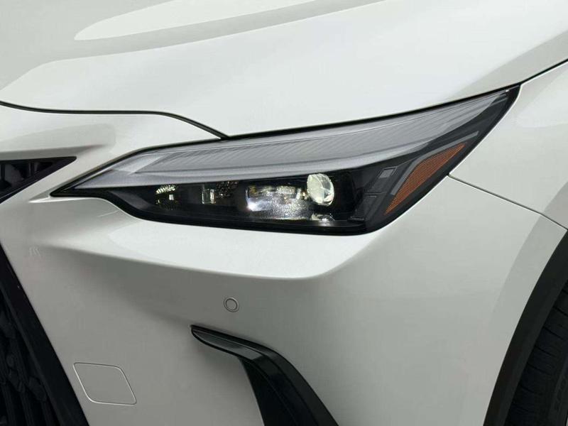 Lexus NX Hybrid, 2021 — фото 4 из 12