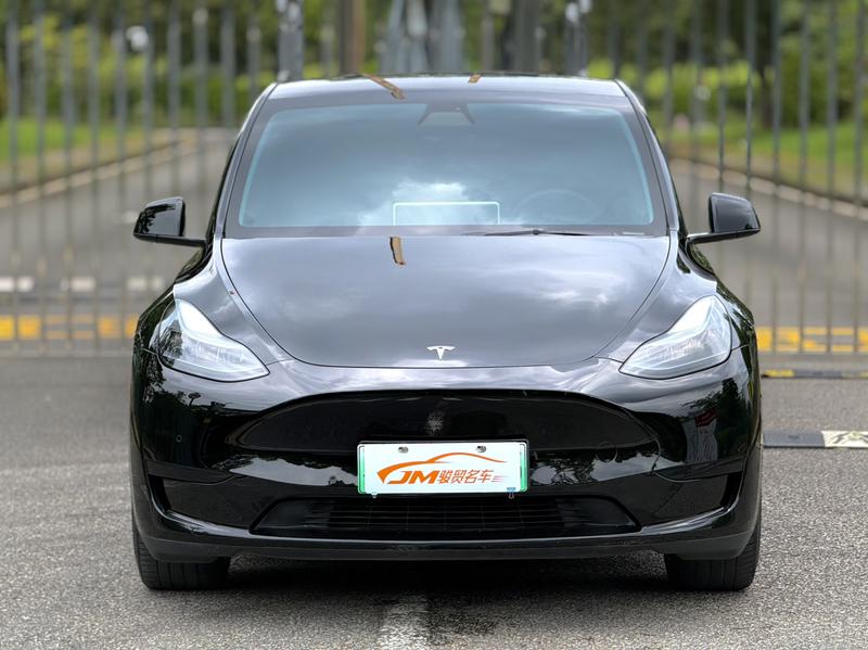 Tesla Model Y, 2022 — фото 2 из 12
