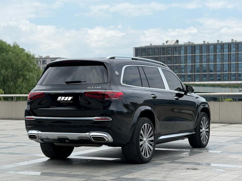 Mercedes-Benz Maybach GLS, 2021 — фото 7 из 12