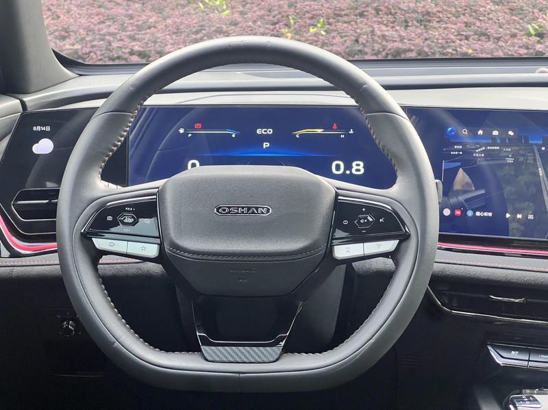 Changan Oshan X5 Plus, 2023 — фото 11 из 12