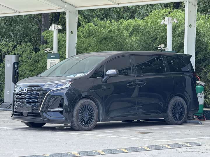 Denza D9, 2024 — купить в Липецке под ключ