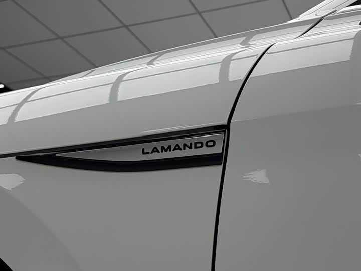 Volkswagen Lamando L, 2023 — фото 9 из 9