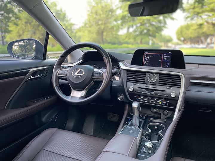 Lexus RX, 2021 — фото 9 из 9