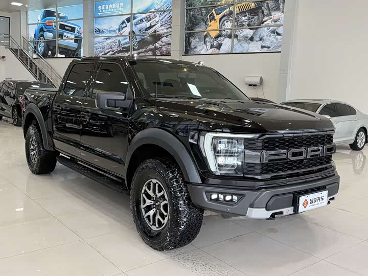 Ford F-150 Raptor, 2022 — фото 2 из 9